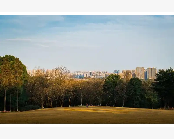 喝中药会胃疼？小心不要误解中药